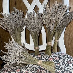 Elegant air-dried English Lavender Bunches 100+ stems in bunch. Grown in PNW.